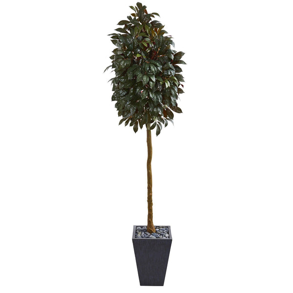 71” Capensia Ficus Artificial Tree in Slate Planter