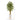 74” Multi Bambusa Bamboo Artificial Tree in White Planter with Stand