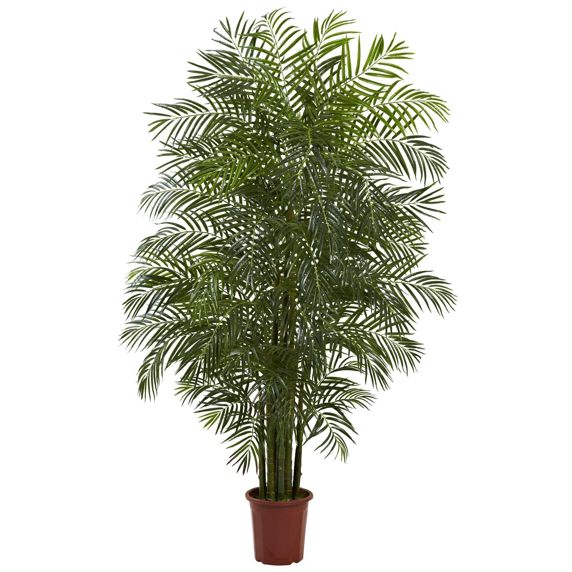 1500 natural outdoor sale