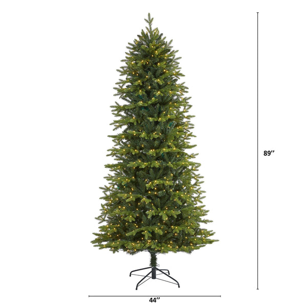 7.5’ Belgium Fir “Natural Look” Artificial Christmas Tree with 550 Clear LED Lights