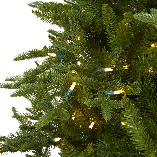 7.5' Cambridge Fir Artificial Christmas Tree with 800 Clear Warm (Multifunction) LED Lights with Instant Connect Technology and 1644 Bendable Branches