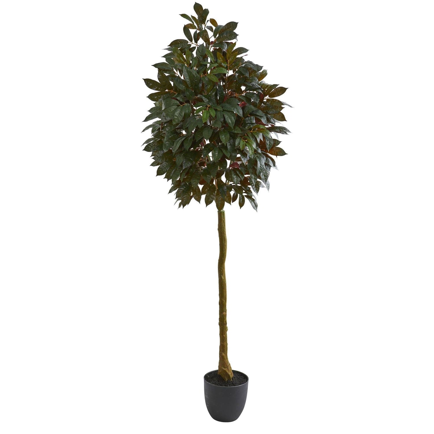 75” Capensia Ficus Artificial Tree