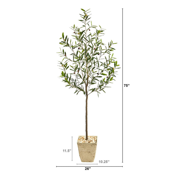 75” Olive Artificial Tree in Country White Planter
