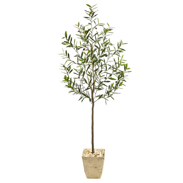 75” Olive Artificial Tree in Country White Planter