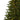 7.5’ Rembrandt Christmas Tree w/Clear Lights