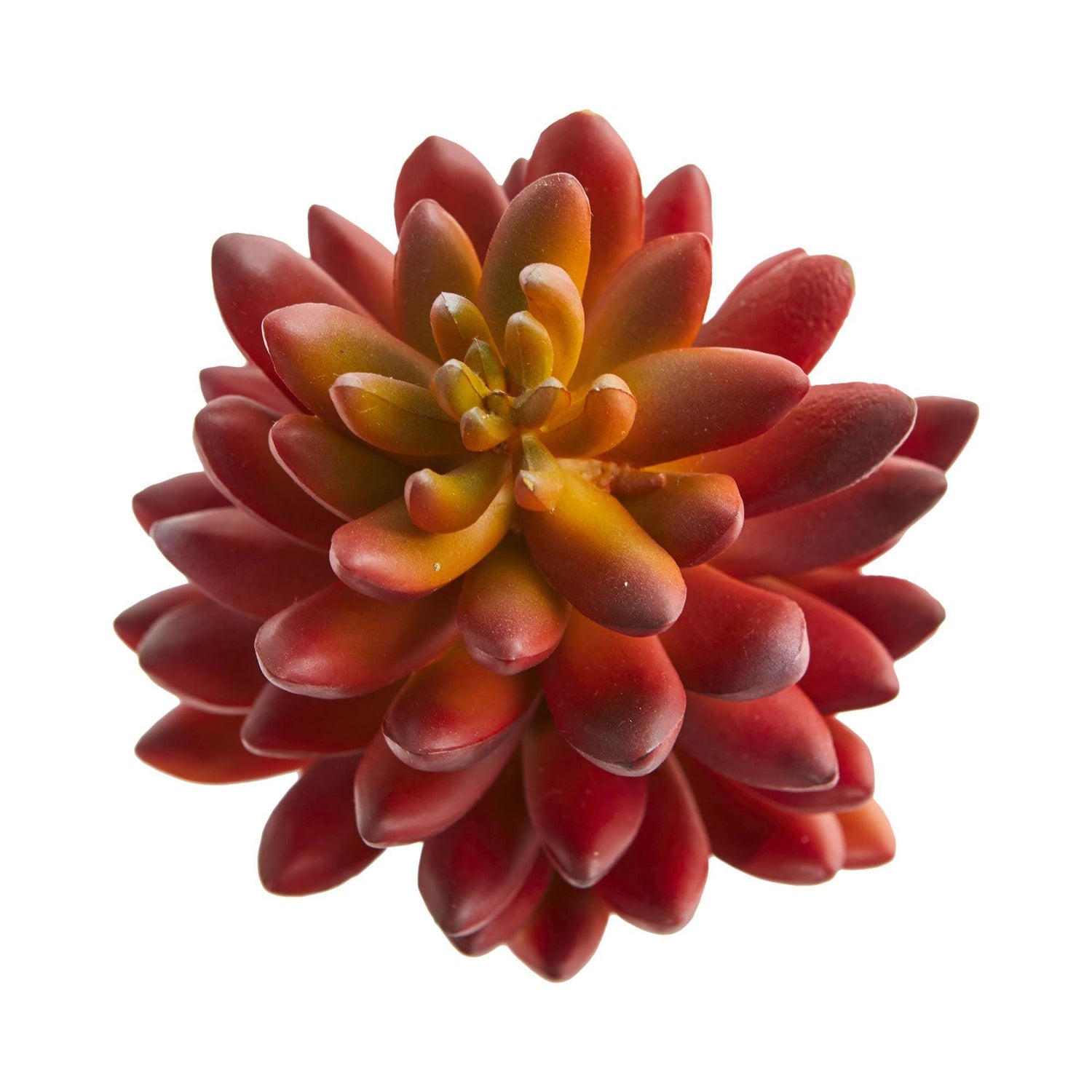 7.5” Succulent Artificial Plant (Set of 6)