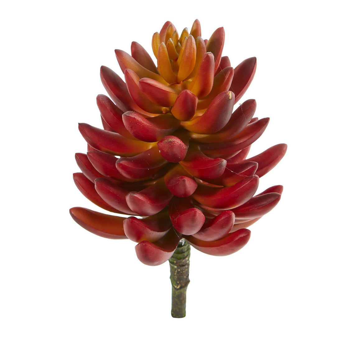 7.5” Succulent Artificial Plant (Set of 6) 6241-S6 Nearly Natural