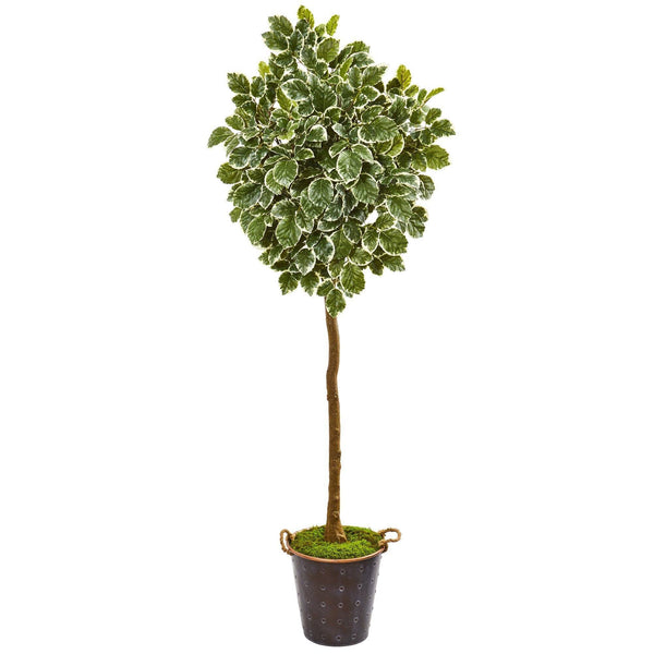 77” Variegated Aralia Artificial Tree in Metal Planter