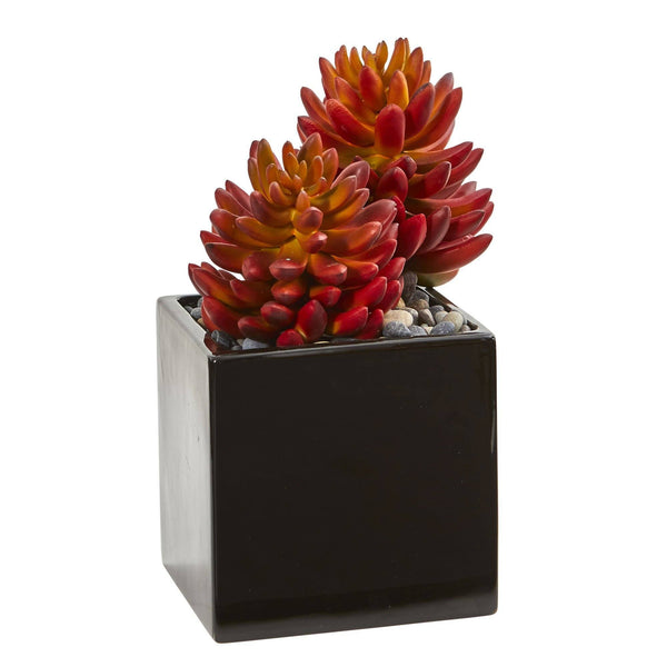 8" Agave & Spiky Succulent Artificial Plant in Vase (Set of 2)"