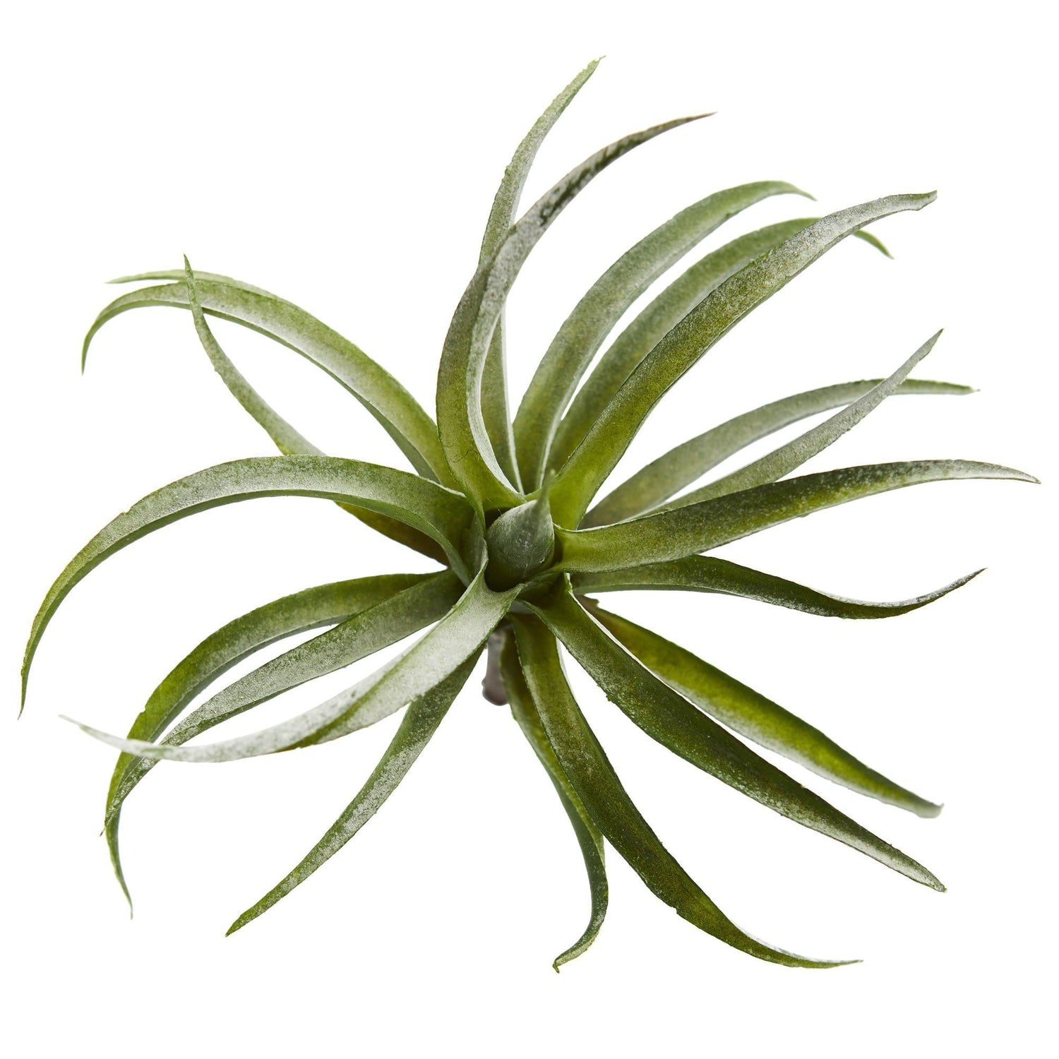 https://www.nearlynatural.com/cdn/shop/products/artificial-8-air-plant-artificial-succulent-set-of-12-nearly-natural-456698.jpg?v=1584146111&width=1500