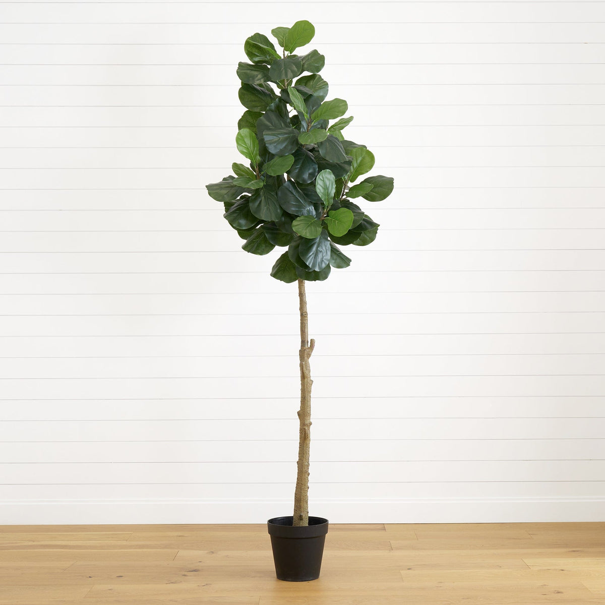 fiddle leaf fig tree 8ft Nearly Natural 8 ft. Artificial Fiddle Leaf Fig Tree