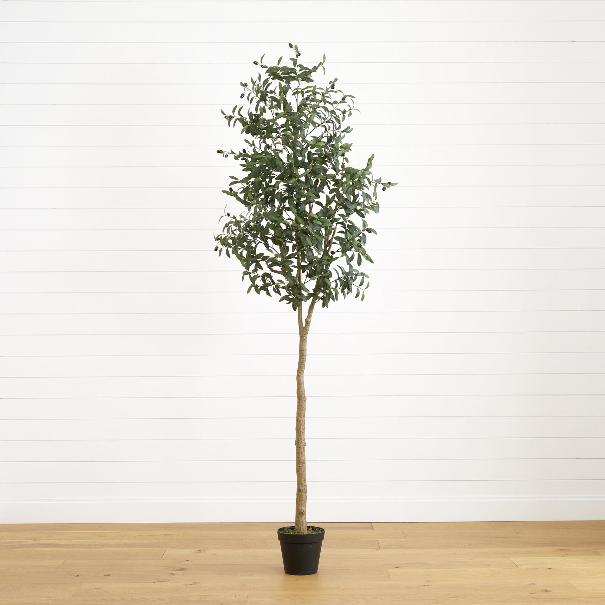 artificial-8-artificial-olive-