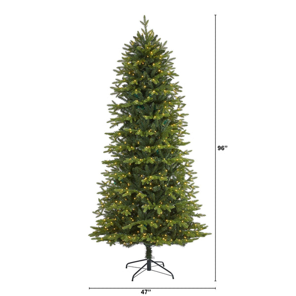 8’ Belgium Fir “Natural Look” Artificial Christmas Tree with 650 Clear LED Lights