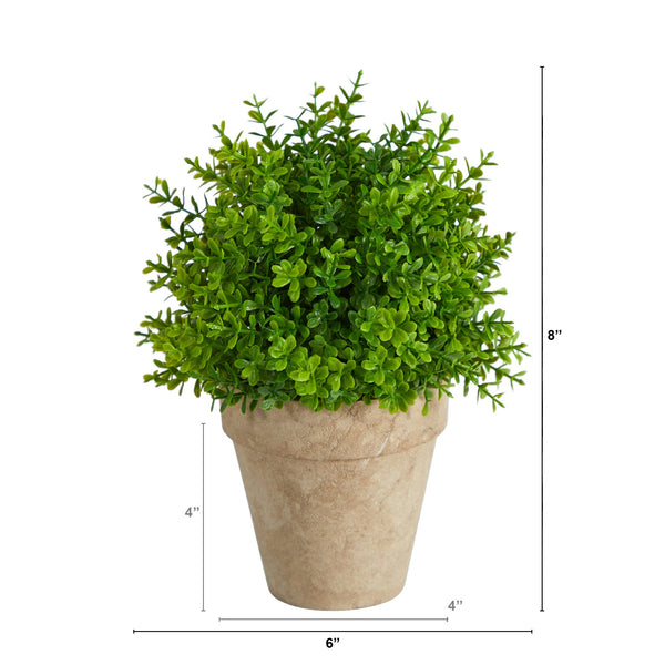 8” Boxwood Artificial Plant in Decorative Planter