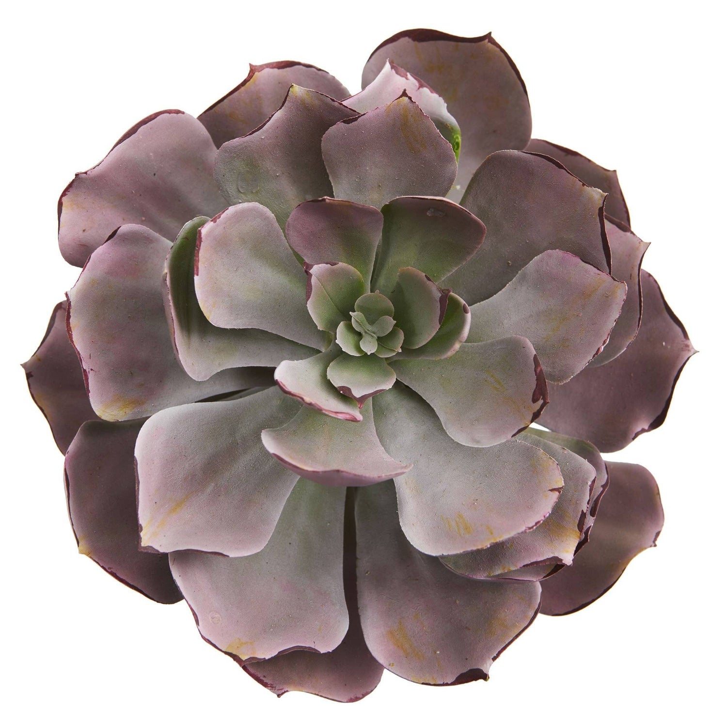 8” Echeveria Succulent Artificial Plant (Set of 6)