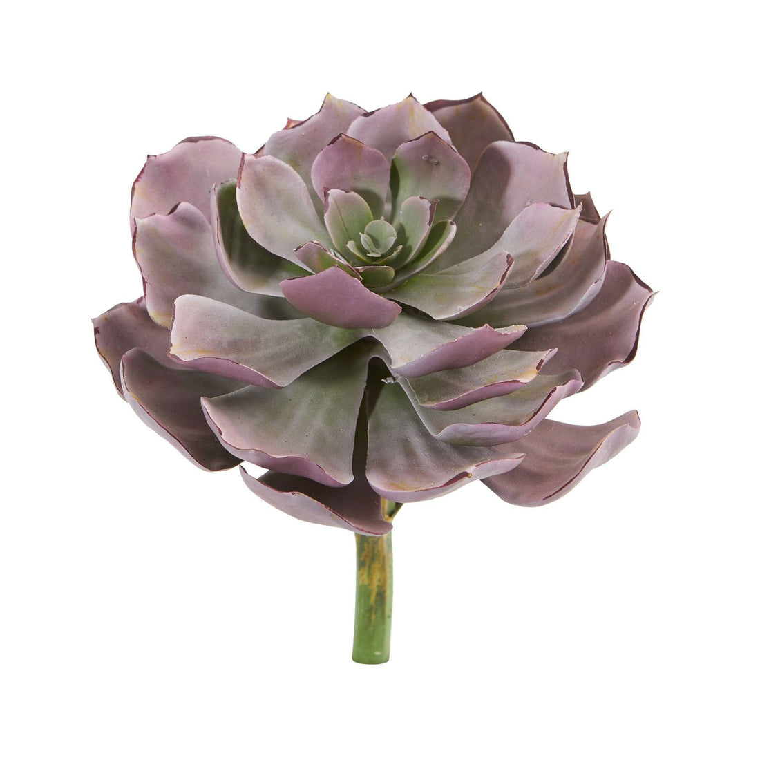 faux echeveria succulent 8” Echeveria Succulent Artificial Plant (Set of 6)