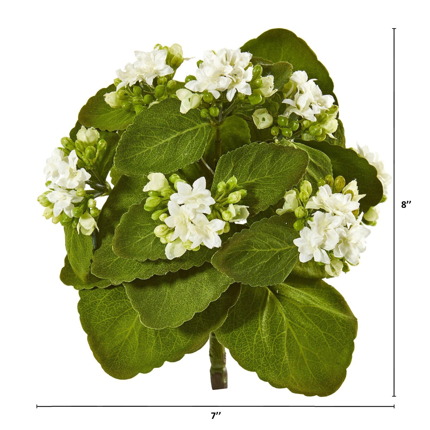 Kalalou 36 Artificial Small White Flower Stems - 6/Case