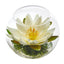 8” Lotus Artificial Arrangement in Glass Vase