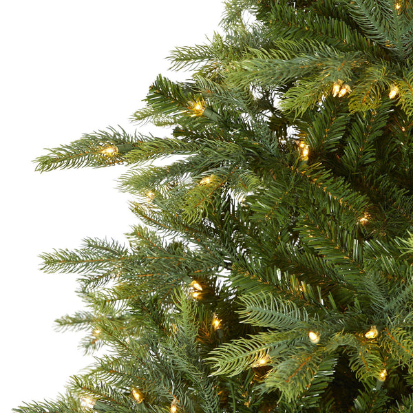 8’ North Carolina Spruce Artificial Christmas Tree with 650 Clear Lights and 1303 Bendable Branches