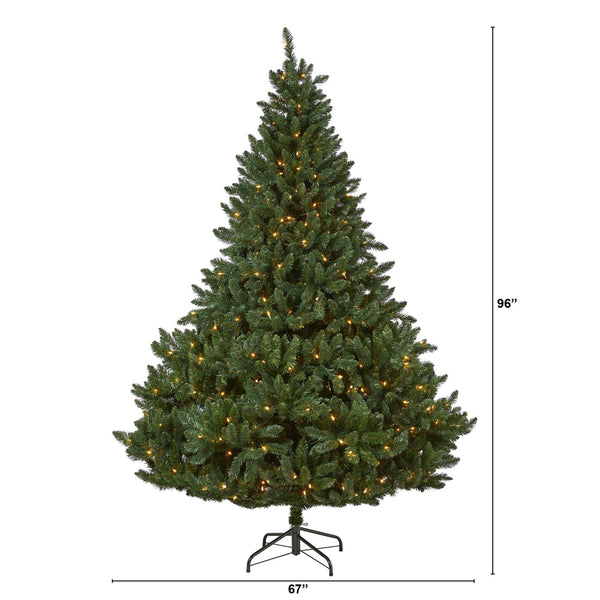 8’ Northern Rocky Spruce Artificial Christmas Tree with 500 Clear Lights and 1948 Bendable Branches