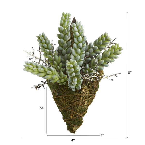 8” Sedum Succulent Artificial Wall Decor Plant (Set of 3)