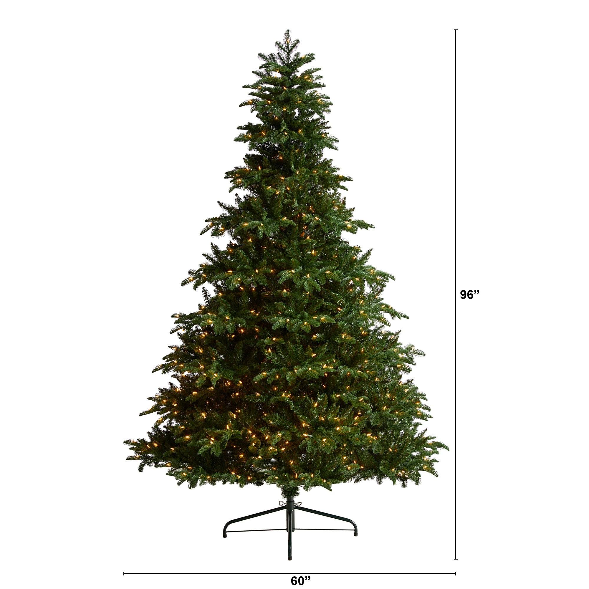 8' South Carolina Spruce Christmas Tree with 700 White Warm Lights