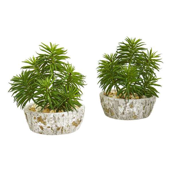 8" Succulent Artificial Plant in Weathered Oak Planter (Set of 2)"