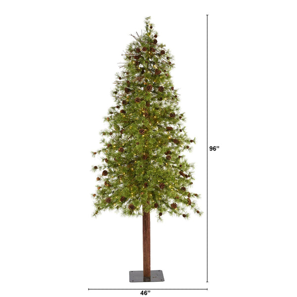8' Wyoming Alpine Artificial Christmas Tree with 250 Clear (multifunction) LED Lights and Pine Cones on Natural Trunk