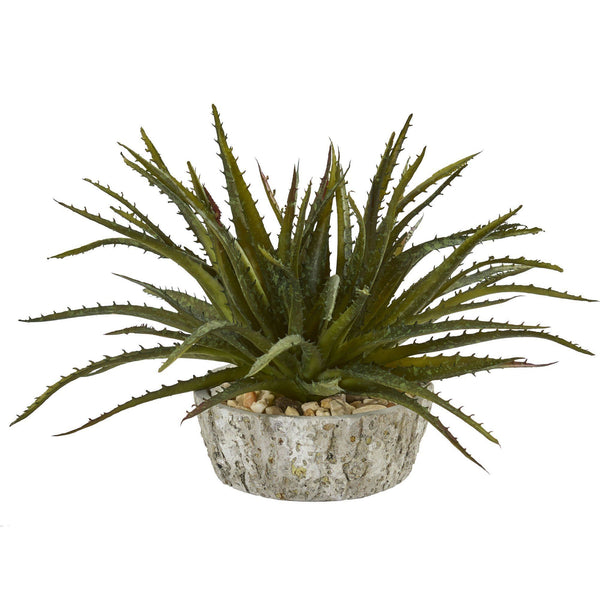 9” Aloe Succulent Artificial Plant in Weathered Oak Planter
