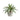 9” Aloe Succulent Artificial Plant