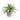 9” Aloe Succulent Artificial Plant