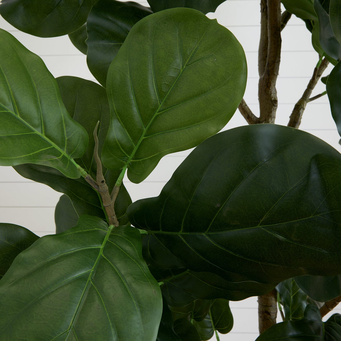 9 foot fiddle leaf fig 9' Artificial Fiddle Leaf Fig Tree