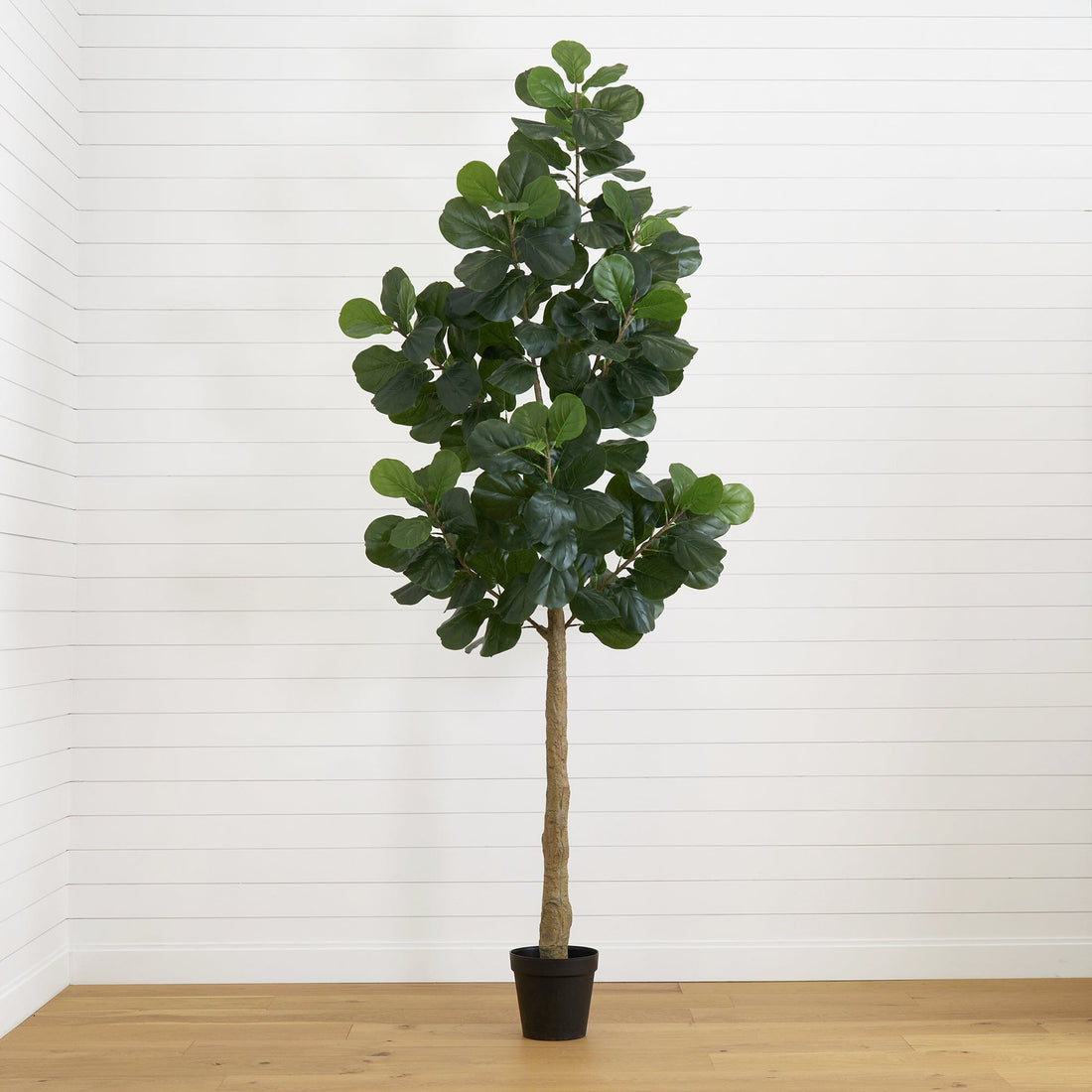 evergreen fiddle leaf fig 9’ Artificial Fiddle Leaf Fig Tree