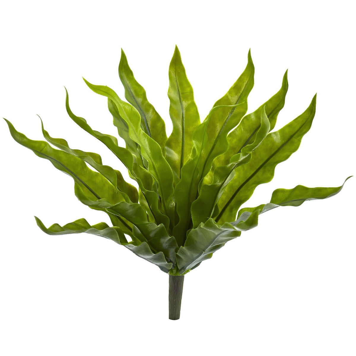 bird nest ferns for sale near me 9” Birds Nest Fern Artificial Plant