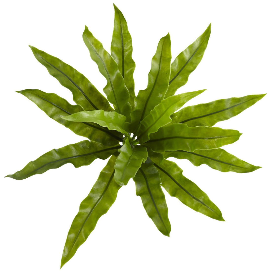 plant bug spray indoor Peppermint Indoor Pest Control main image 0