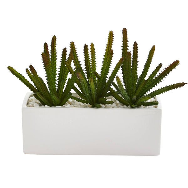 9” Cactus Succulent Artificial Plant in White Planter