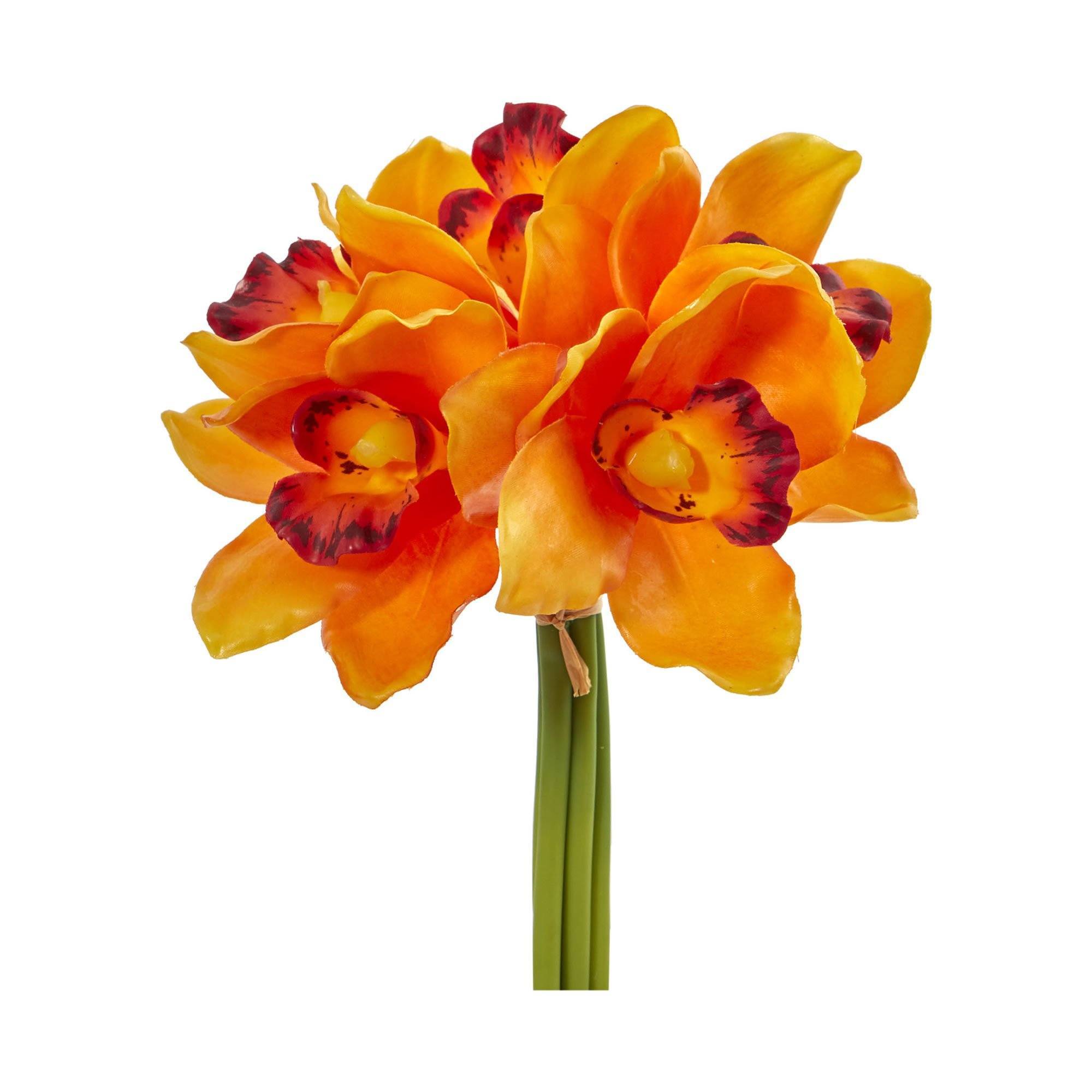 Cymbidium Orchid, Orange – Lovingly Charlotte Flower Market