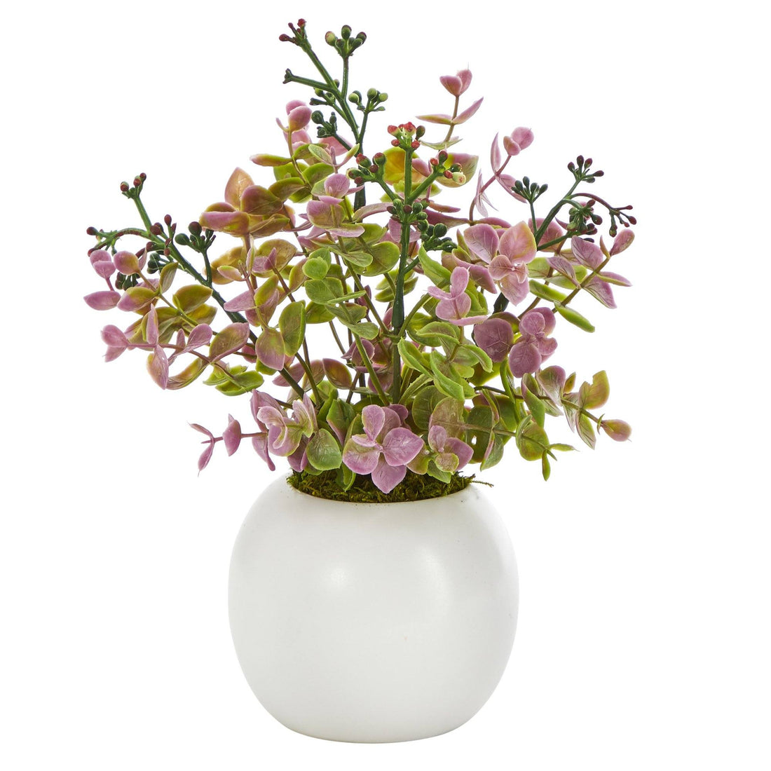 eucalyptus and succulents 9” Eucalyptus and Sedum Succulent Artificial Plant in White Planter