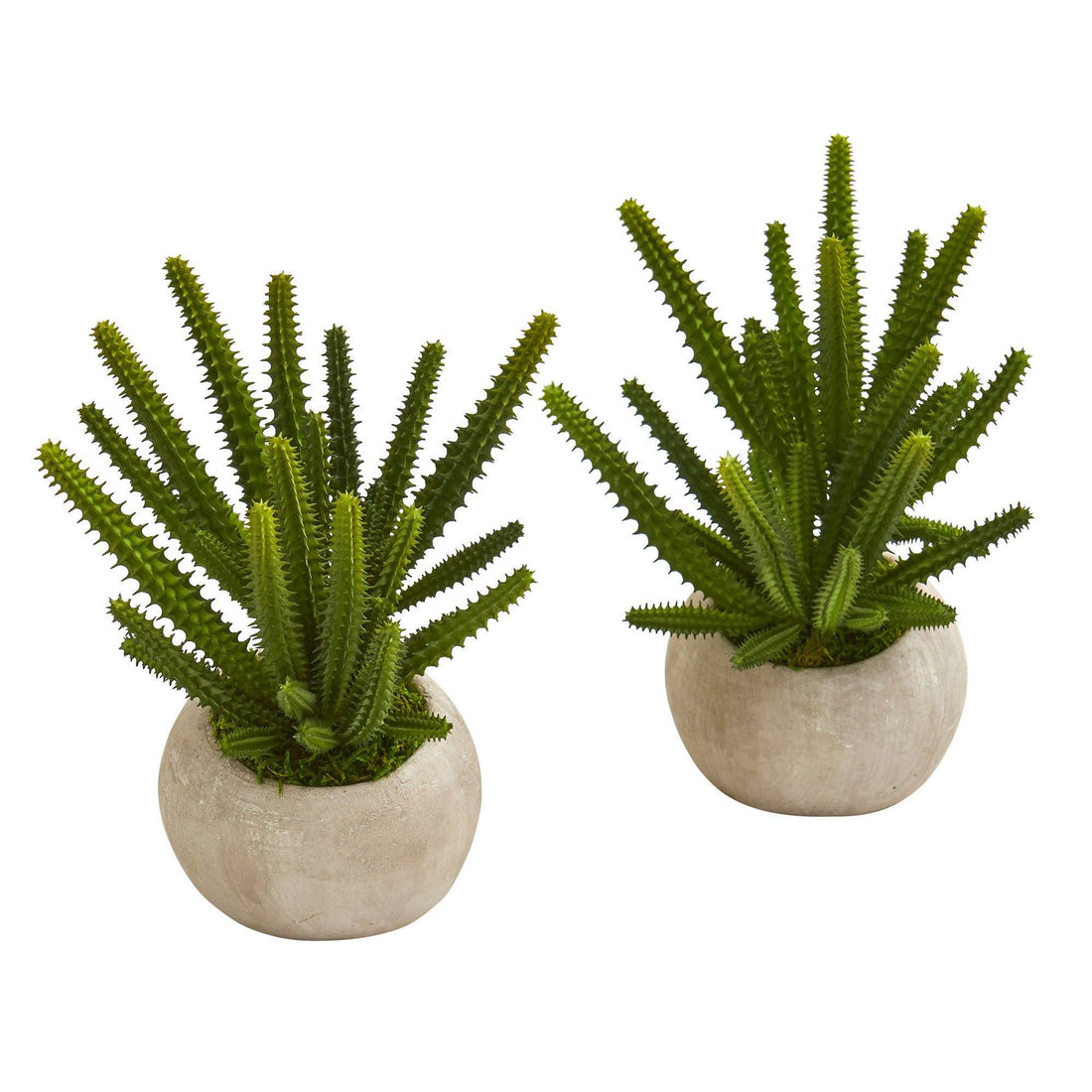 finger cactus succulents 9” Finger Cactus Artificial Plant in Stone Planter (Set of 2)