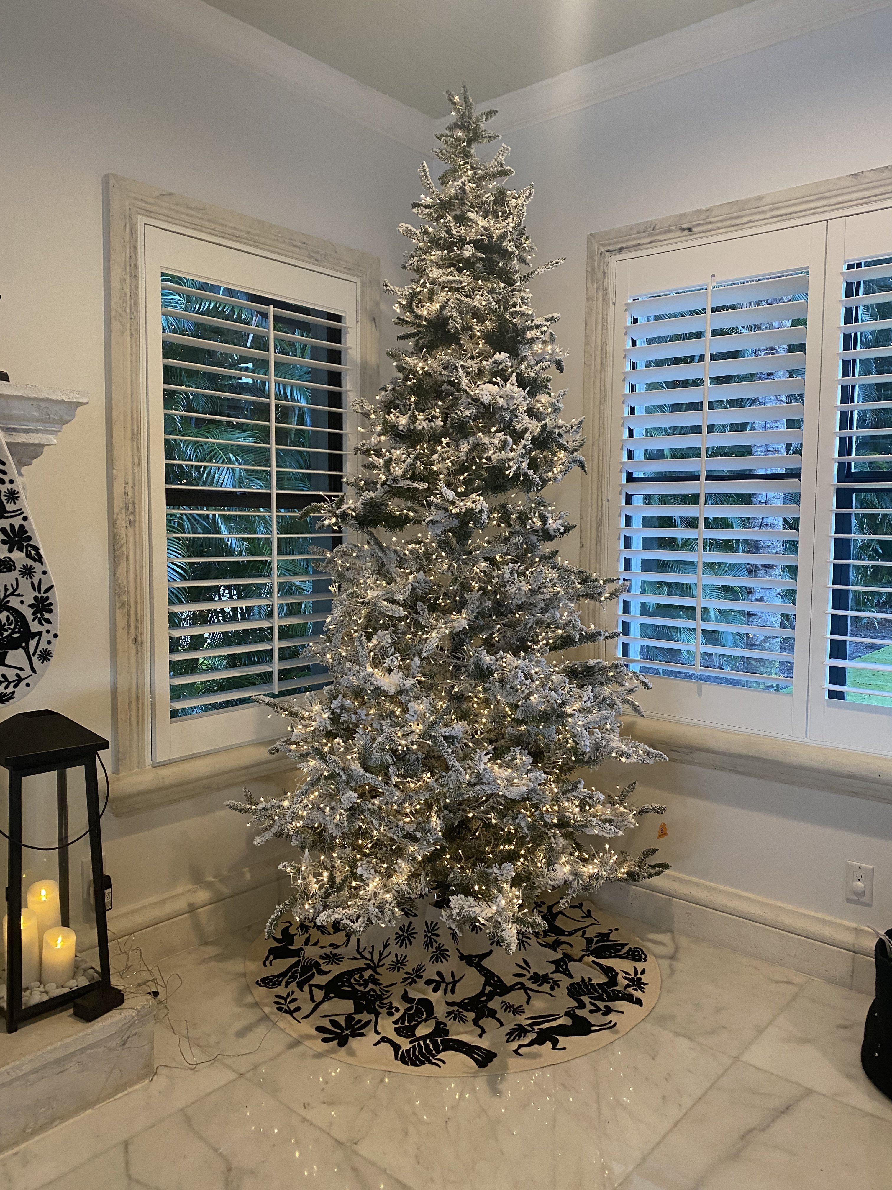9' Flocked Grand Northern Rocky Fir Artificial Christmas Tree with