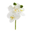 9” Phalaenopsis Orchid Artificial Flower Pick (Set of 12)