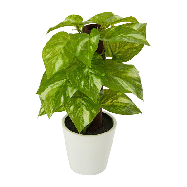9” Artificial Pothos Plant in White Planter (Real Touch)