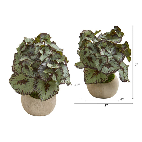 9” Rex Begonia Artificial Plant in Stone Gray Planter (Set of 2)