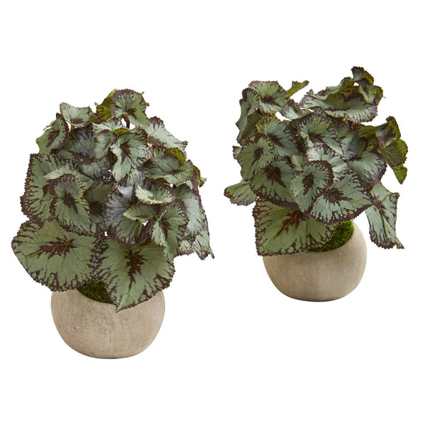 9” Rex Begonia Artificial Plant in Stone Gray Planter (Set of 2)