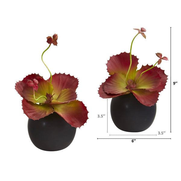 9” Succulent Artificial Plant in White Planter (Set of 2)