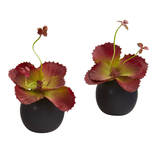 9” Succulent Artificial Plant in White Planter (Set of 2)