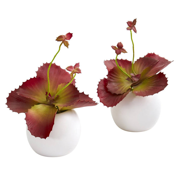 9” Succulent Artificial Plant in White Planter (Set of 2)