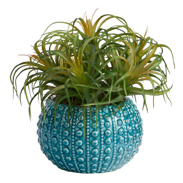 9” Tillandsia Artificial Plant in Blue Planter