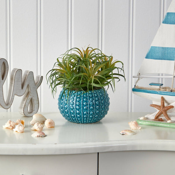 9” Tillandsia Artificial Plant in Blue Planter