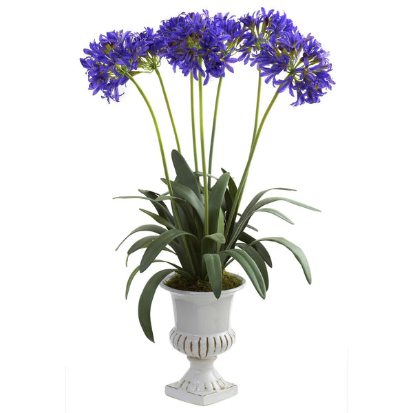 African Lily w/Urn